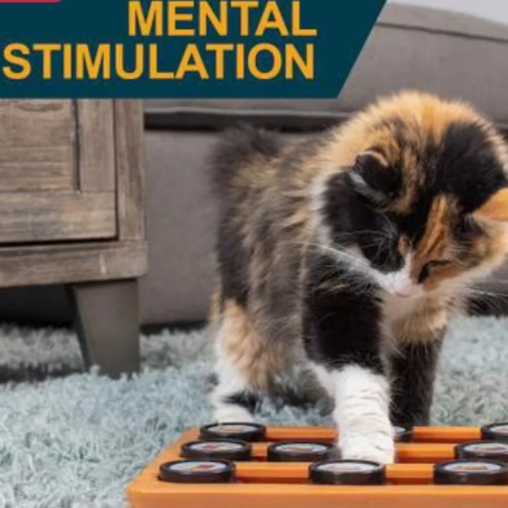 Treat Dispensing Puzzle Toy for Dogs & Cats